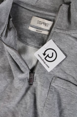 Herren Shirt Esprit, Größe M, Farbe Grau, Preis 18,79 €