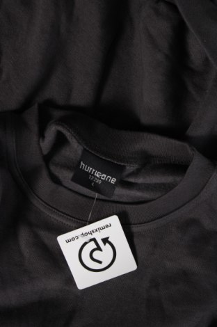 Ανδρική μπλούζα Hurricane, Μέγεθος L, Χρώμα Γκρί, Τιμή 5,63 €