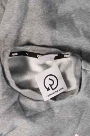 Herren Shirt PUMA, Größe L, Farbe Grau, Preis 23,66 €