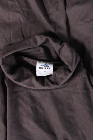 Ανδρική μπλούζα Ronley, Μέγεθος M, Χρώμα Γκρί, Τιμή 5,52 €