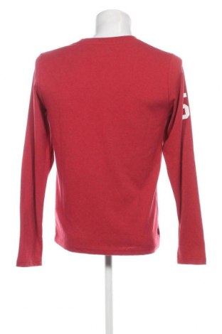 Herren Shirt Superdry, Größe M, Farbe Rot, Preis 23,45 €