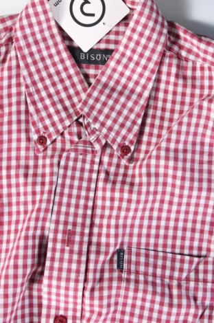 Ανδρικό πουκάμισο Bison, Μέγεθος M, Χρώμα Πολύχρωμο, Τιμή 8,87 €