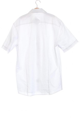 Pánska košeľa  Cool Water, Veľkosť M, Farba Biela, Cena  16,44 €