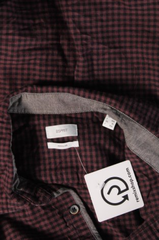 Ανδρικό πουκάμισο Esprit, Μέγεθος XL, Χρώμα Πολύχρωμο, Τιμή 9,88 €