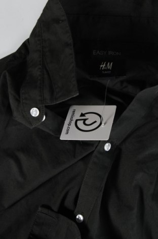 Herrenhemd H&M, Größe L, Farbe Grün, Preis € 20,18