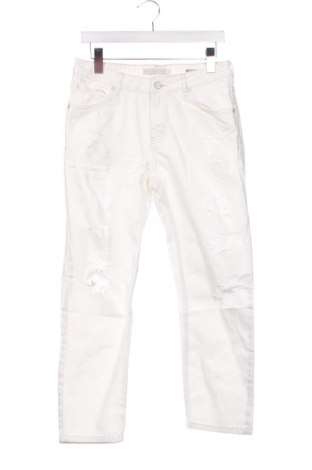 Herren Jeans Bershka, Größe S, Farbe Weiß, Preis 6,86 €