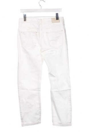 Herren Jeans Bershka, Größe S, Farbe Weiß, Preis 6,86 €