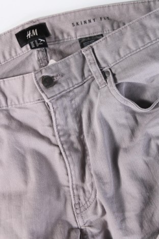 Herren Jeans H&M, Größe M, Farbe Grau, Preis 9,00 €