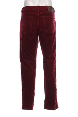 Herren Cordhose Pierre Cardin, Größe L, Farbe Rot, Preis € 43,14