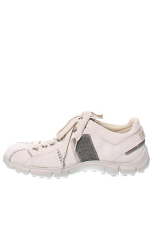 Ανδρικά παπούτσια Timberland, Μέγεθος 44, Χρώμα Λευκό, Τιμή 99,20 €