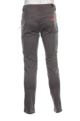 Ανδρικό παντελόνι Oviesse, Μέγεθος M, Χρώμα Γκρί, Τιμή 13,51 €