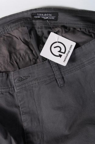Ανδρικό παντελόνι Terranova, Μέγεθος L, Χρώμα Γκρί, Τιμή 5,93 €