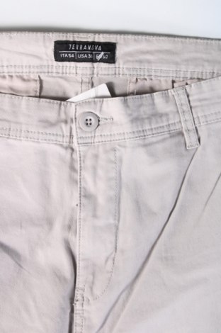 Ανδρικό παντελόνι Terranova, Μέγεθος L, Χρώμα Γκρί, Τιμή 14,83 €