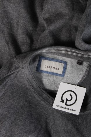 Ανδρικό πουλόβερ Calamar, Μέγεθος XL, Χρώμα Γκρί, Τιμή 16,49 €