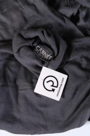 Herrenpullover Carnet, Größe M, Farbe Grau, Preis € 6,01