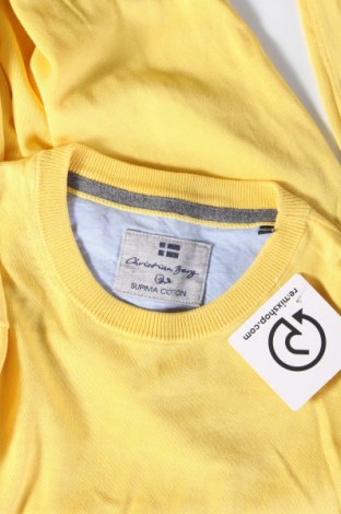 Ανδρικό πουλόβερ Christian Berg, Μέγεθος S, Χρώμα Κίτρινο, Τιμή 11,32 €