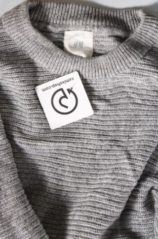 Ανδρικό πουλόβερ H&M L.O.G.G., Μέγεθος M, Χρώμα Γκρί, Τιμή 5,02 €