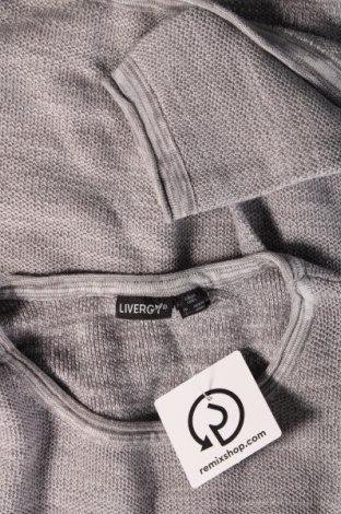 Ανδρικό πουλόβερ Livergy, Μέγεθος L, Χρώμα Γκρί, Τιμή 7,18 €