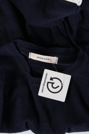 Ανδρικό πουλόβερ Wool & Co, Μέγεθος L, Χρώμα Μπλέ, Τιμή 17,26 €