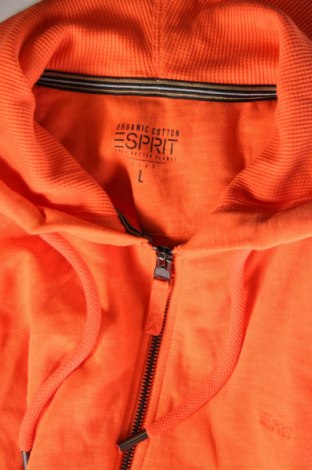 Ανδρικό φούτερ Esprit, Μέγεθος L, Χρώμα Πορτοκαλί, Τιμή 25,36 €