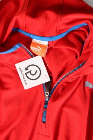 Herren Shirt PUMA, Größe XL, Farbe Rot, Preis 30,62 €
