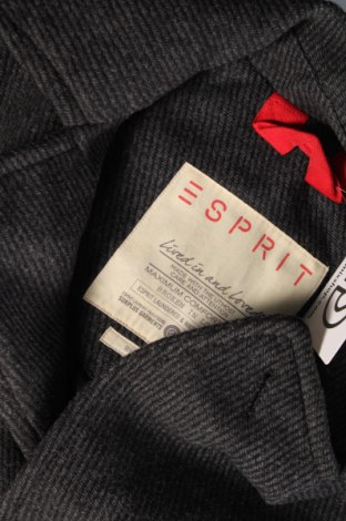 Pánsky kabát  Esprit, Veľkosť M, Farba Sivá, Cena  12,25 €