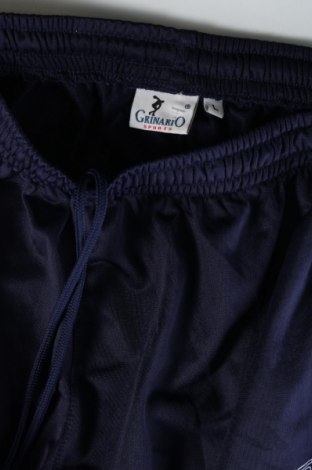 Ανδρικό αθλητικό παντελόνι, Μέγεθος L, Χρώμα Μπλέ, Τιμή 7,71 €