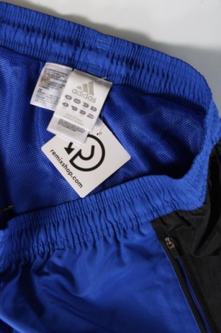 Pánske tepláky Adidas, Veľkosť L, Farba Modrá, Cena  23,25 €
