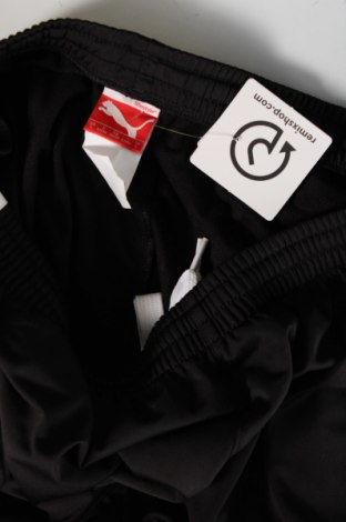 Herren Sporthose PUMA, Größe L, Farbe Schwarz, Preis 21,97 €