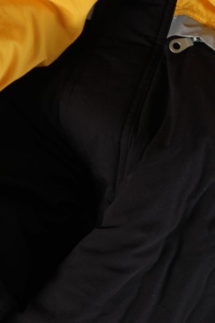 Ανδρικό μπουφάν, Μέγεθος L, Χρώμα Πολύχρωμο, Τιμή 13,63 €