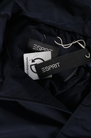 Pánska bunda  Esprit, Veľkosť XL, Farba Modrá, Cena  39,80 €