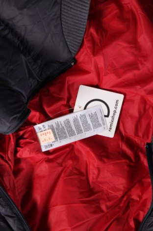Ανδρικό μπουφάν Esprit, Μέγεθος XL, Χρώμα Μπλέ, Τιμή 14,72 €
