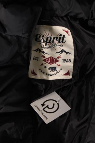 Ανδρικό μπουφάν Esprit, Μέγεθος XL, Χρώμα Μαύρο, Τιμή 63,71 €
