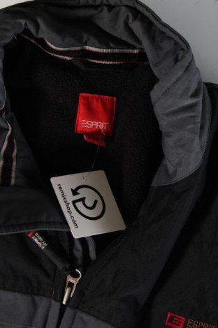 Pánska bunda  Esprit, Veľkosť XL, Farba Viacfarebná, Cena  14,02 €