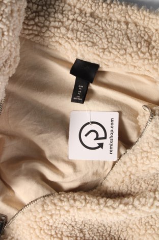 Ανδρικό μπουφάν H&M, Μέγεθος XL, Χρώμα  Μπέζ, Τιμή 29,69 €