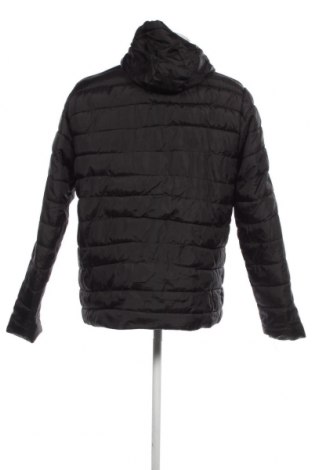 Ανδρικό μπουφάν Identic, Μέγεθος L, Χρώμα Μαύρο, Τιμή 10,99 €