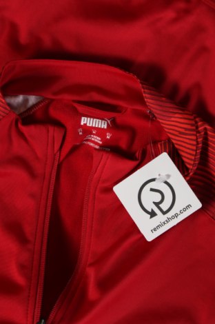 Ανδρικό μπουφάν PUMA, Μέγεθος M, Χρώμα Κόκκινο, Τιμή 34,10 €