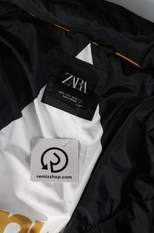 Pánska bunda  Zara, Veľkosť M, Farba Viacfarebná, Cena  20,46 €