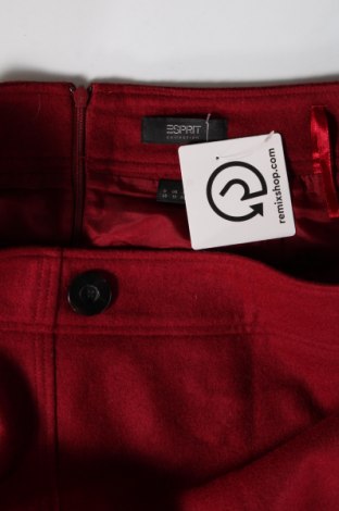 Φούστα Esprit, Μέγεθος L, Χρώμα Κόκκινο, Τιμή 4,82 €