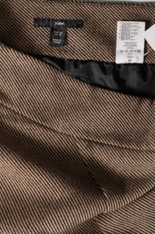 Φούστα H&M, Μέγεθος XL, Χρώμα Πολύχρωμο, Τιμή 4,80 €