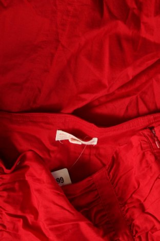Φούστα Mango, Μέγεθος L, Χρώμα Κόκκινο, Τιμή 10,76 €