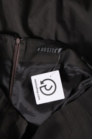 Φούστα Rosita, Μέγεθος XL, Χρώμα Μαύρο, Τιμή 5,64 €