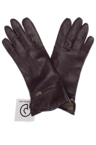 Handschuhe, Farbe Braun, Preis 12,25 €