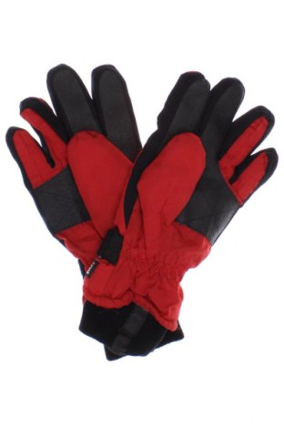 Γάντια για χειμερινά σπορ, Χρώμα Πολύχρωμο, Τιμή 8,35 €