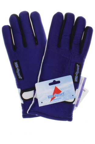 Γάντια για χειμερινά σπορ, Χρώμα Μπλέ, Τιμή 13,61 €