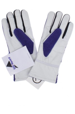 Handschuhe für Wintersport, Farbe Blau, Preis 15,31 €