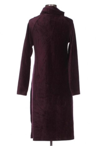 Kleid Cotton Traders, Größe L, Farbe Lila, Preis 8,68 €