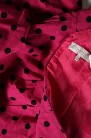 Kleid Debenhams, Größe M, Farbe Rosa, Preis 14,83 €