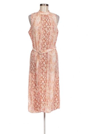 Kleid Dorothy Perkins, Größe M, Farbe Mehrfarbig, Preis € 26,70
