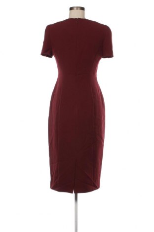 Kleid Dorothy Perkins, Größe M, Farbe Rot, Preis € 23,66